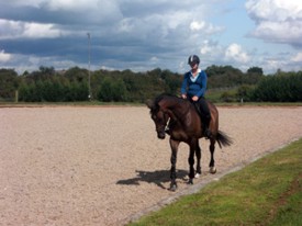 60m x 30m Arena at Chescombe Farm 60m x 30m Arena at Chescombe Farm