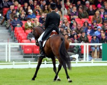 Dressage Dressage