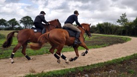 Gallops at Chescombe Farm Gallops at Chescombe Farm