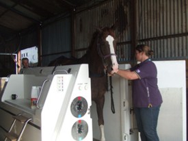 The Equine Spa at Chescombe Farm
